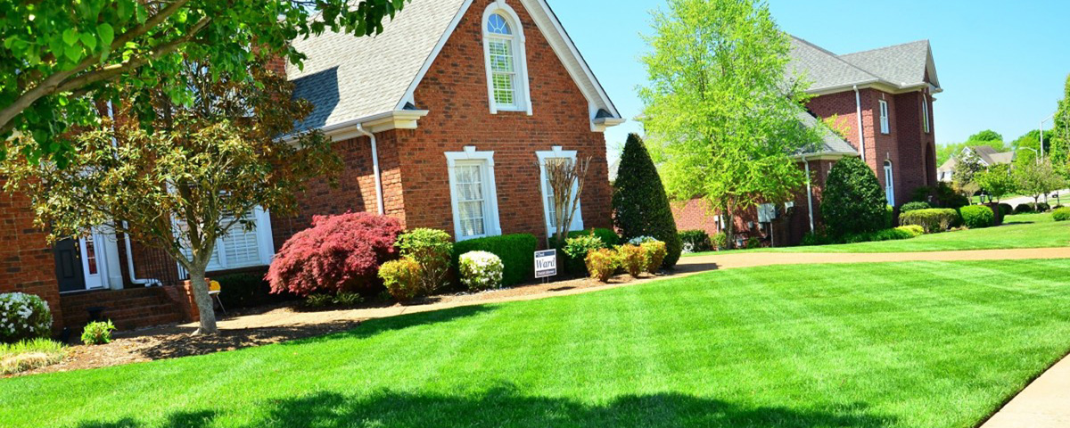 Mowing one time or on a schedule